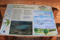 IMG_0061