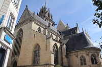 IMG_0431