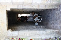 IMG_0441