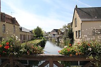 IMG_0442