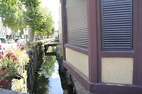 IMG_0446