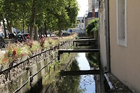 IMG_0450