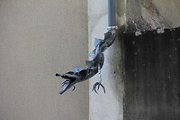 IMG_0456