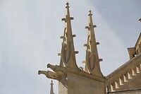 IMG_0465