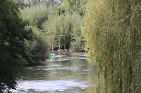 IMG_0485