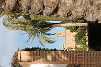 IMG_1017