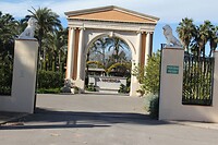 IMG_0971
