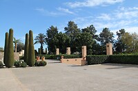IMG_1009