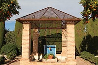 IMG_1008