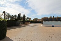 IMG_1007