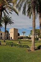 IMG_1026