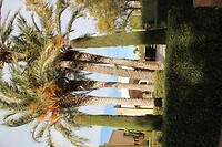 IMG_1015