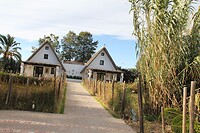 IMG_1018