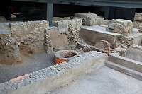 IMG_1144