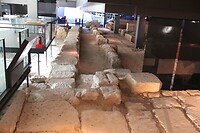 IMG_1160