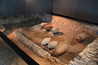 IMG_1190