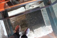 IMG_1193