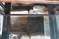 IMG_1194