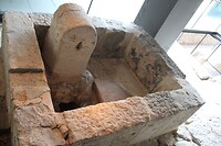 IMG_1198