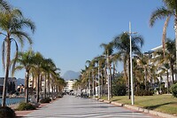 IMG_1324