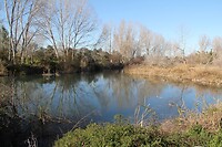 IMG_1327