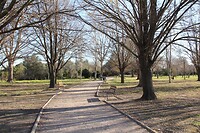 IMG_1335
