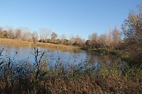 IMG_1341