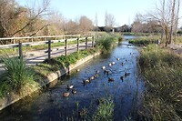 IMG_1342