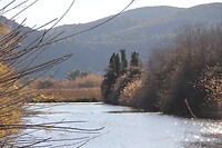 IMG_1351