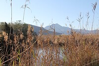 IMG_1354