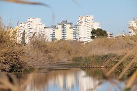 IMG_1357