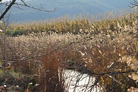 IMG_1360