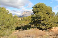 IMG_1363