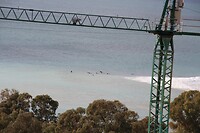IMG_1367