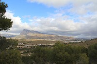 IMG_1380