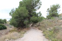 IMG_1383