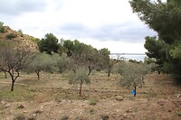 IMG_1386