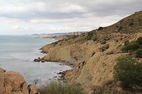 IMG_1391
