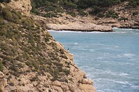 IMG_1397