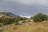 IMG_1404