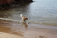 IMG_1808