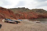 IMG_1798