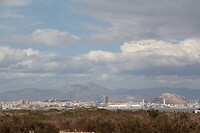IMG_1835