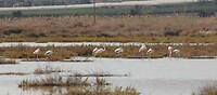 IMG_1843
