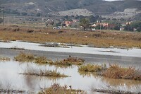 IMG_1855