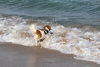 IMG_1898