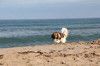 IMG_1886