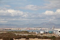 IMG_1833