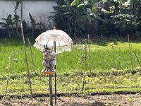 Balinese vogelverschrikker