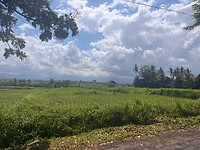 8222F2A7-0919-46E6-8DE5-AC2BBD20FA44